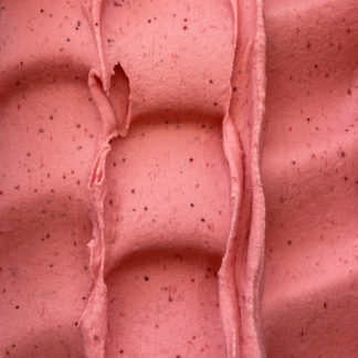 Sorbet Fraise | La Gelatiera, artisan glacier