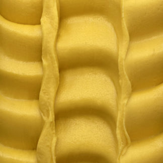 Sorbet Mangue Alphonso