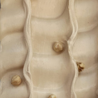 Noisette du Piémont IGP | La Gelatiera, artisan glacier