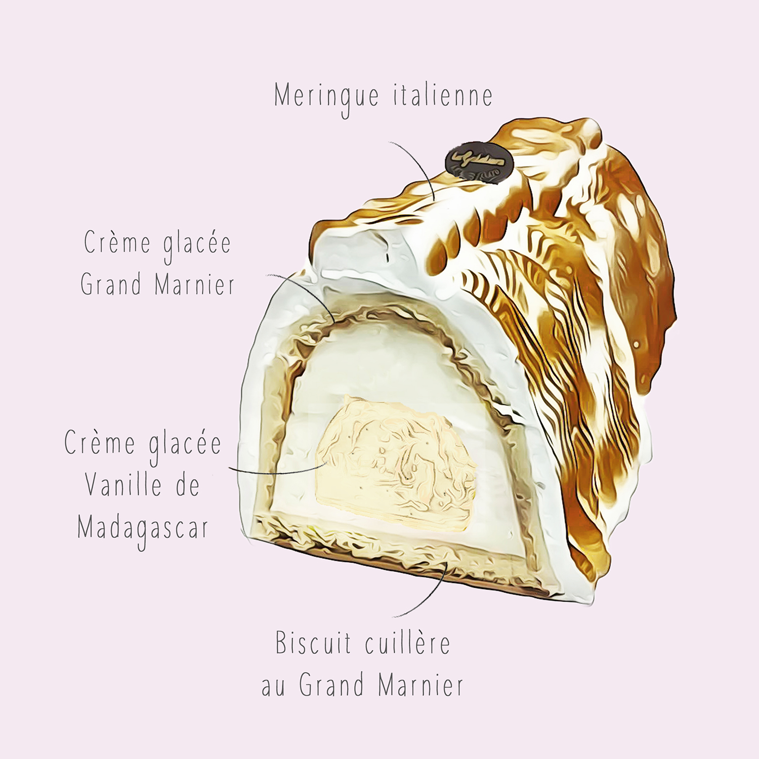 Omelette Norgevienne shéma dessin explications de la composition gateau glace La Gelatiera