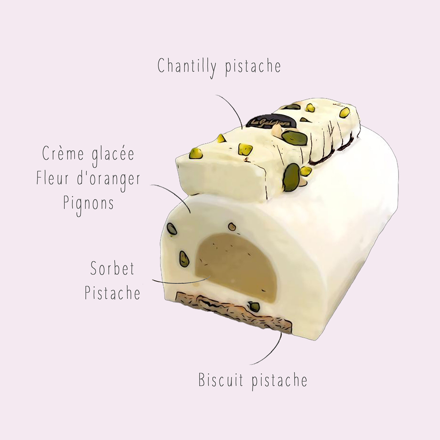 Explications montage dessin illustration de la composition de la Buche glacee artisanale a la fleur d'oranger sorbet pistache avec chantilly vue de face coupee glace biscuit pistache pignon