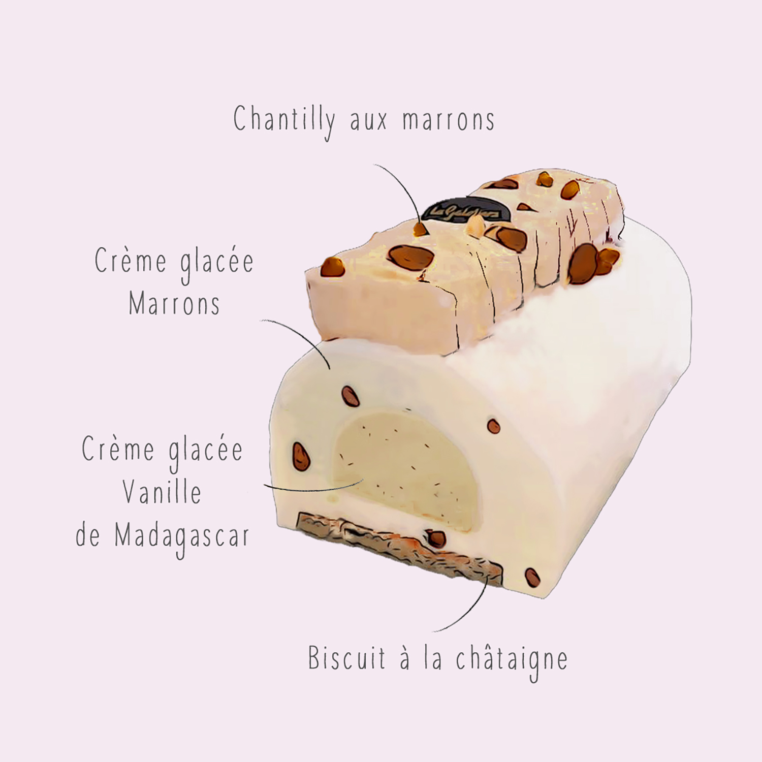 explications composition buche glacee artisanale aux marrons avec chantilly vue de haut coupee glace marron biscuit chataigne et meringue