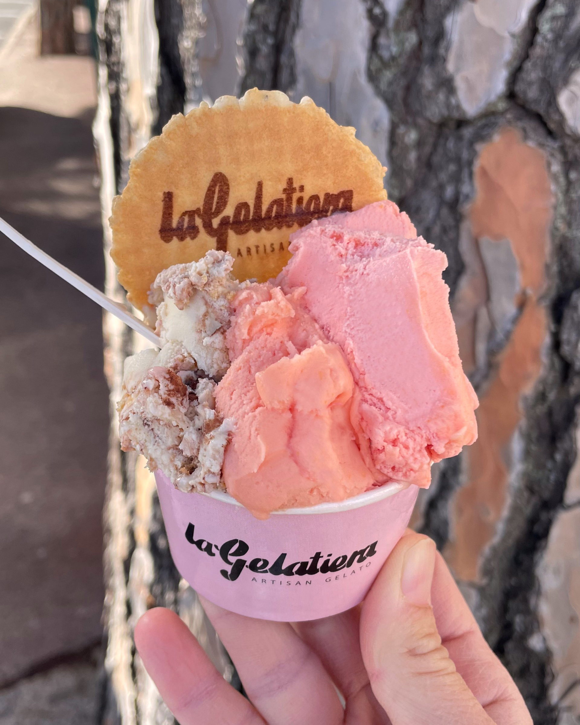 Glace Tiramisu | La Gelatiera, artisan glacier – Image 4