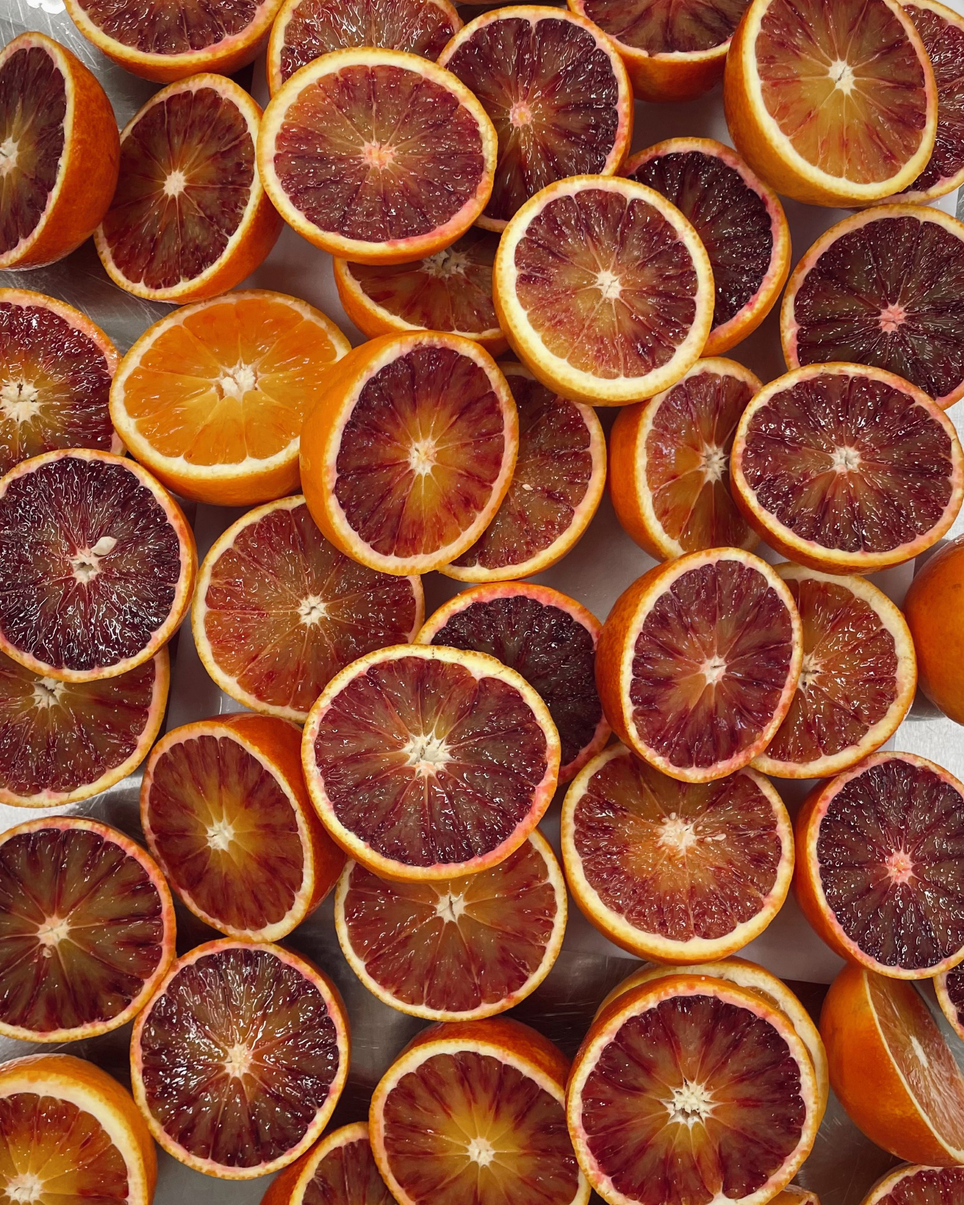 Sorbet Campari orange sanguine | La Gelatiera, artisan glacier – Image 4